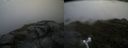 ./images/calvert/buxton2/20170820/buxton220170820_130906M.jpg