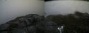./images/calvert/buxton2/20170820/buxton220170820_135905M.jpg