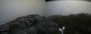 ./images/calvert/buxton2/20170820/buxton220170820_144905M.jpg