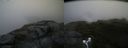 ./images/calvert/buxton2/20170820/buxton220170820_194405M.jpg