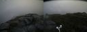 ./images/calvert/buxton2/20170821/buxton220170821_091845M.jpg