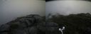 ./images/calvert/buxton2/20170821/buxton220170821_092848M.jpg