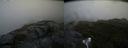 ./images/calvert/buxton2/20170821/buxton220170821_101408M.jpg