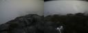 ./images/calvert/buxton2/20170821/buxton220170821_115347M.jpg