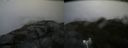./images/calvert/buxton2/20170821/buxton220170821_120355M.jpg