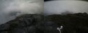 ./images/calvert/buxton2/20170821/buxton220170821_130346M.jpg