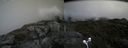 ./images/calvert/buxton2/20170821/buxton220170821_133345M.jpg