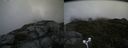./images/calvert/buxton2/20170821/buxton220170821_135845M.jpg
