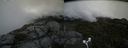 ./images/calvert/buxton2/20170821/buxton220170821_141845M.jpg