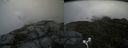 ./images/calvert/buxton2/20170821/buxton220170821_142345M.jpg