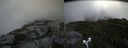 ./images/calvert/buxton2/20170821/buxton220170821_142848M.jpg