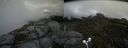 ./images/calvert/buxton2/20170821/buxton220170821_151847M.jpg