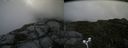 ./images/calvert/buxton2/20170821/buxton220170821_152848M.jpg