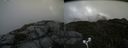 ./images/calvert/buxton2/20170821/buxton220170821_154845M.jpg