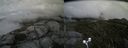 ./images/calvert/buxton2/20170821/buxton220170821_172846M.jpg