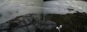 ./images/calvert/buxton2/20170821/buxton220170821_181844M.jpg