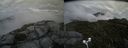 ./images/calvert/buxton2/20170821/buxton220170821_182354M.jpg