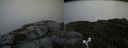 ./images/calvert/buxton2/20170821/buxton220170821_183345M.jpg