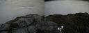 ./images/calvert/buxton2/20170821/buxton220170821_183845M.jpg