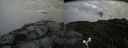 ./images/calvert/buxton2/20170821/buxton220170821_184348M.jpg