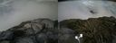 ./images/calvert/buxton2/20170821/buxton220170821_191354M.jpg
