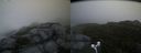 ./images/calvert/buxton2/20170822/buxton220170822_064325M.jpg