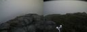 ./images/calvert/buxton2/20170822/buxton220170822_075825M.jpg
