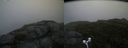 ./images/calvert/buxton2/20170822/buxton220170822_080327M.jpg