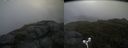 ./images/calvert/buxton2/20170822/buxton220170822_081331M.jpg