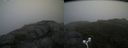 ./images/calvert/buxton2/20170822/buxton220170822_082327M.jpg