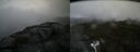./images/calvert/buxton2/20170822/buxton220170822_103828M.jpg
