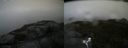 ./images/calvert/buxton2/20170822/buxton220170822_164826M.jpg