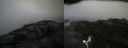 ./images/calvert/buxton2/20170822/buxton220170822_184329M.jpg