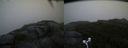 ./images/calvert/buxton2/20170822/buxton220170822_194826M.jpg