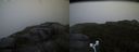 ./images/calvert/buxton2/20170822/buxton220170822_200827M.jpg