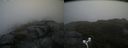 ./images/calvert/buxton2/20170824/buxton220170824_114252M.jpg