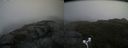 ./images/calvert/buxton2/20170824/buxton220170824_114747M.jpg