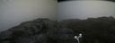 ./images/calvert/buxton2/20170824/buxton220170824_115245M.jpg