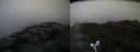 ./images/calvert/buxton2/20170826/buxton220170826_083708M.jpg