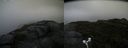 ./images/calvert/buxton2/20170826/buxton220170826_084215M.jpg