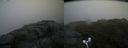./images/calvert/buxton2/20170826/buxton220170826_171704M.jpg