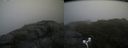 ./images/calvert/buxton2/20170826/buxton220170826_172705M.jpg
