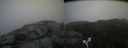 ./images/calvert/buxton2/20170827/buxton220170827_121651M.jpg