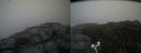 ./images/calvert/buxton2/20170827/buxton220170827_132149M.jpg