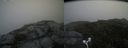 ./images/calvert/buxton2/20170827/buxton220170827_133647M.jpg