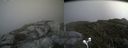 ./images/calvert/buxton2/20170827/buxton220170827_141649M.jpg