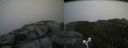 ./images/calvert/buxton2/20170827/buxton220170827_142645M.jpg