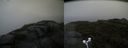 ./images/calvert/buxton2/20170830/buxton220170830_094057M.jpg