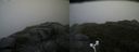 ./images/calvert/buxton2/20170830/buxton220170830_103054M.jpg