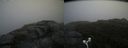 ./images/calvert/buxton2/20170830/buxton220170830_131056M.jpg